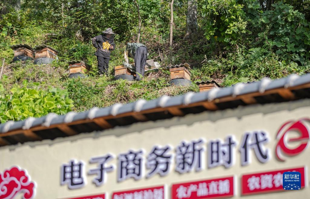 牵手跑胡子官网